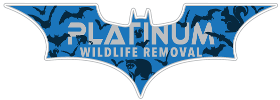 Thornapple Wildlife Removal